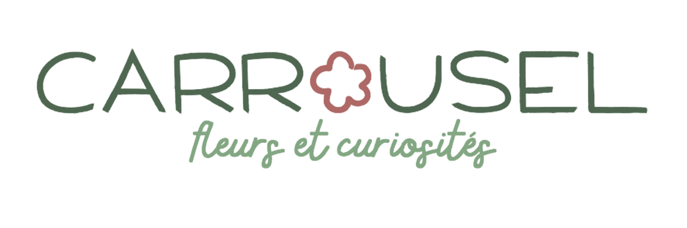 Carrousel — fleurs et curiosités, fleuriste à Uriage-les-Bains