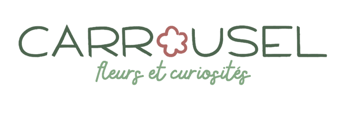Carrousel Fleuriste